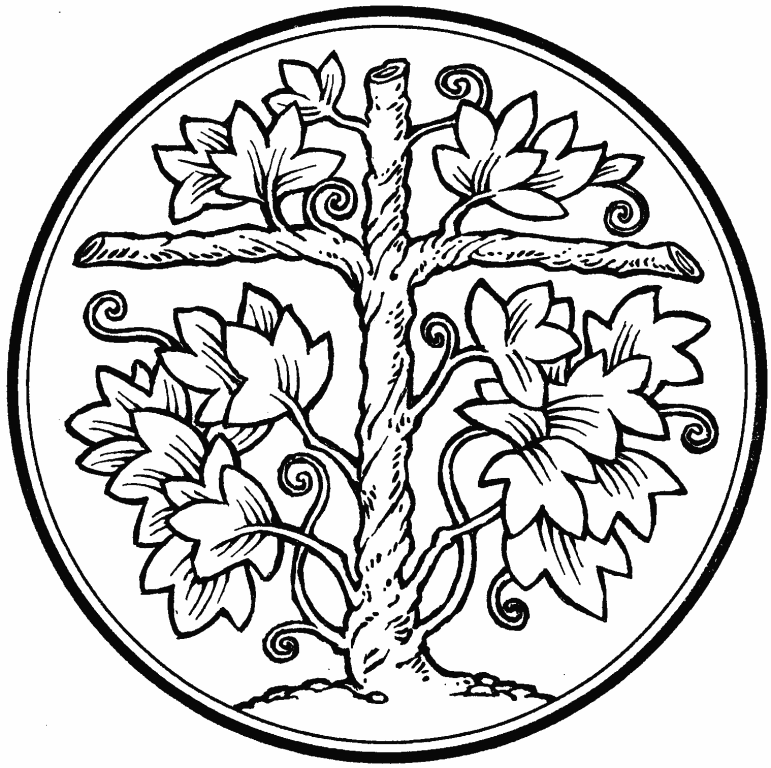 i am the vine coloring pages - photo #35
